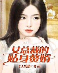 叶北贺星辰 叶北贺星辰