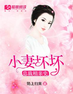 总裁相亲史:小妻坏坏 总裁相亲史:小妻坏坏