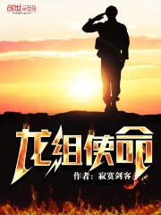 龙组使命 龙组使命