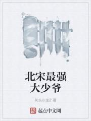 北宋最强大少爷 北宋最强大少爷