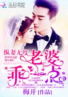 纵妻无度:老婆,乖一点! 纵妻无度:老婆,乖一点!