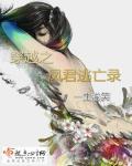 穿越之凤君逃亡录 穿越之凤君逃亡录