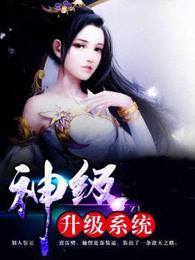 神级升级系统 神级升级系统