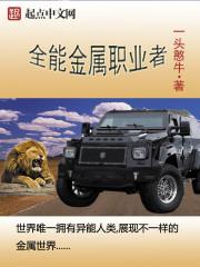 全能金属职业者 全能金属职业者