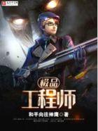 极品工程师 极品工程师